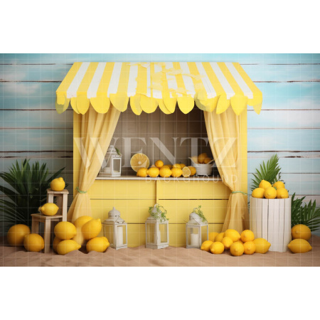 Photographic Background in Fabric Lemonade Stand / Backdrop 5139