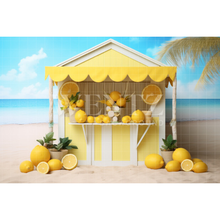 Photographic Background in Fabric Lemonade Stand / Backdrop 5140