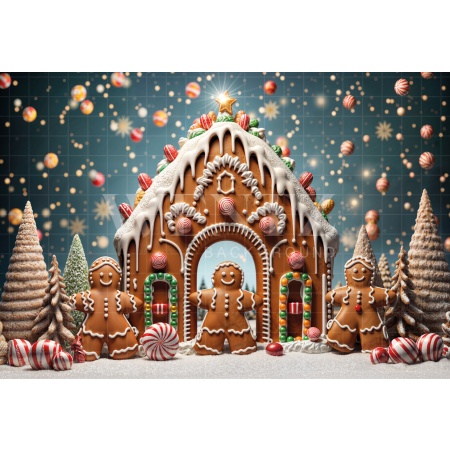 Fabric Photography Background Christmas Sweets House / Backdrop 6240