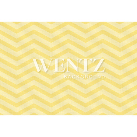 Fabric Photography Background Chevron / Backdrop 827