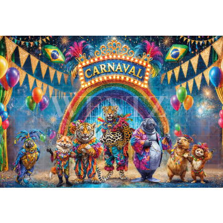 Fabric Photography Background Carnival / Backdrop 6616