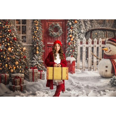 Fabric Photography Background Santa Claus Christmas House / Backdrop 6236