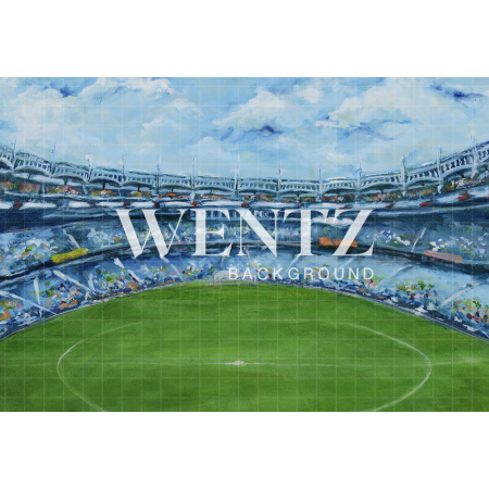 Fabric Photography Background Hand Painted Soccer Field / Backdrop CW003