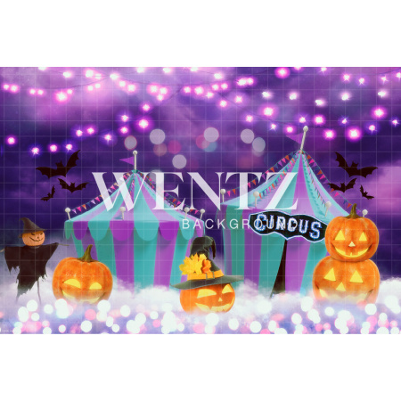 Fabric Photography Background Halloween Circus / Backdrop CW159