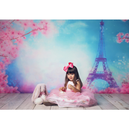 Fabric Photography Background Paris Travel and Flowers Newborn / Backdrop 2064