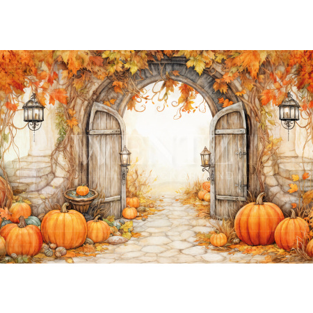 Fabric Photography Background Halloween / Backdrop 6342