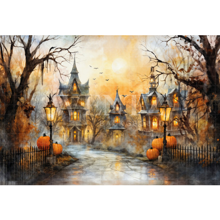 Fabric Photography Background Village Halloween / Backdrop 6343