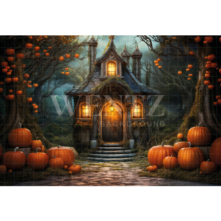 Fabric Photography Background Witch's House Halloween / Backdrop 6354