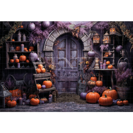 Fabric Photography Background Witch's House Halloween / Backdrop 6355