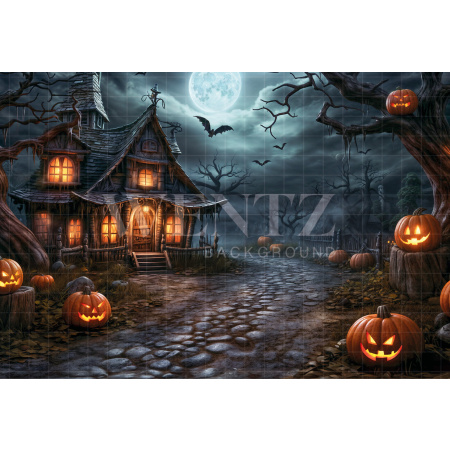 Fabric Photography Background Witch's House Halloween / Backdrop 6356