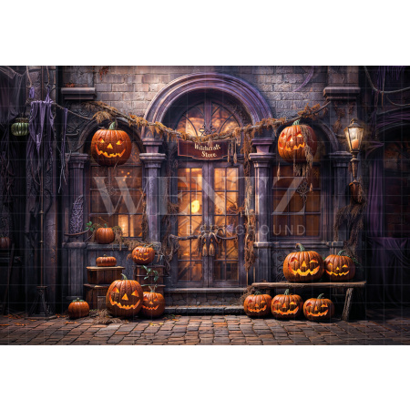 Fabric Photography Background Halloween Witchcraft Store / Backdrop 6360