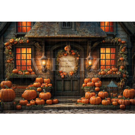 Fabric Photography Background Halloween House / Backdrop 6362