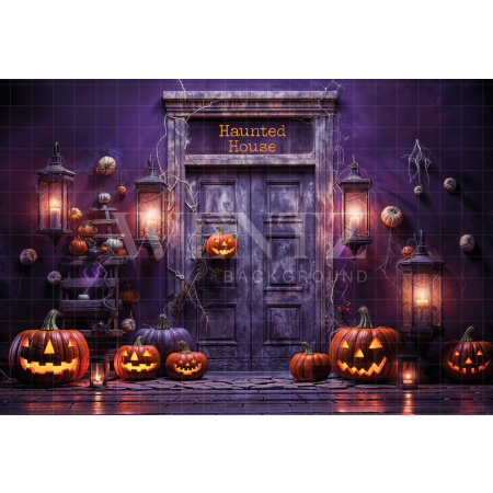 Fabric Photography Background Halloween Haunted House / Backdrop 6359