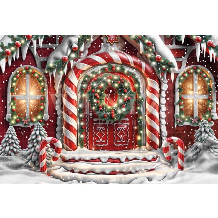 Fabric Photography Background Christmas House Front / Backdrop 6225