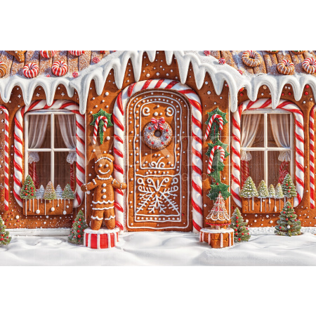 Fabric Photography Background Christmas Sweets House / Backdrop 6276