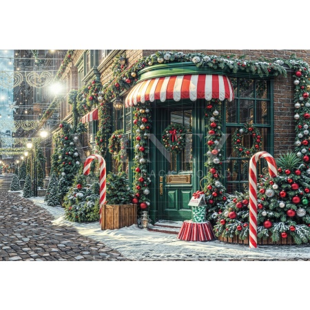 Fabric Photography Background Christmas Village / Backdrop 6403