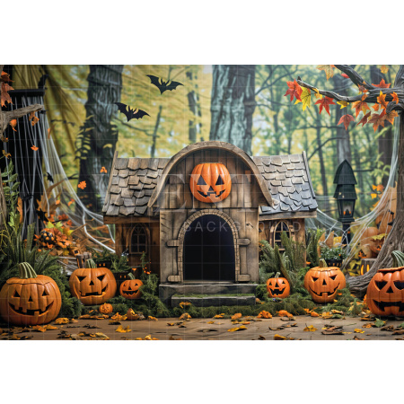 Fabric Photography Background for Pets Photoshoot Halloween / Backdrop 6201