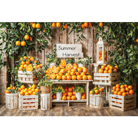 Photographic Background in Fabric Summer Harvest / Backdrop 6528