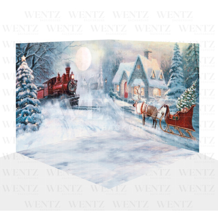 Photography Background in Fabric Christmas Set 3D / WTZ120