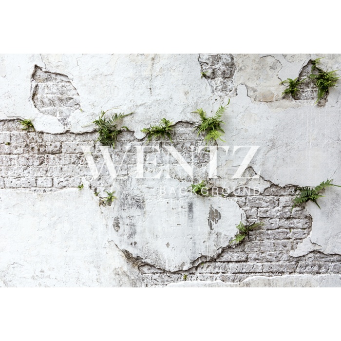 Fabric Photography Background Concrete and Brick Wall  / Backdrop 1927