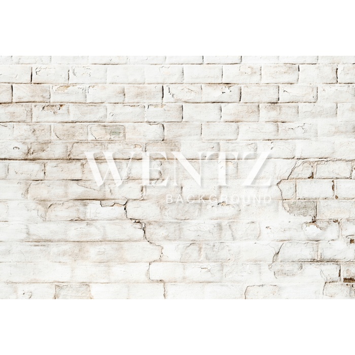 Fabric Photography Background Bricks / Backdrop 2136