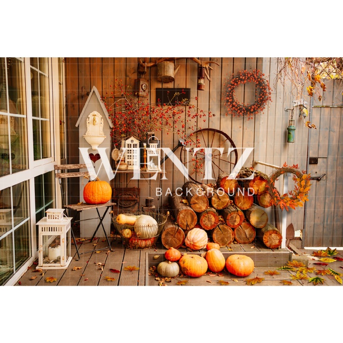 Fabric Photography Background Autumn Backyard / Backdrop 2435