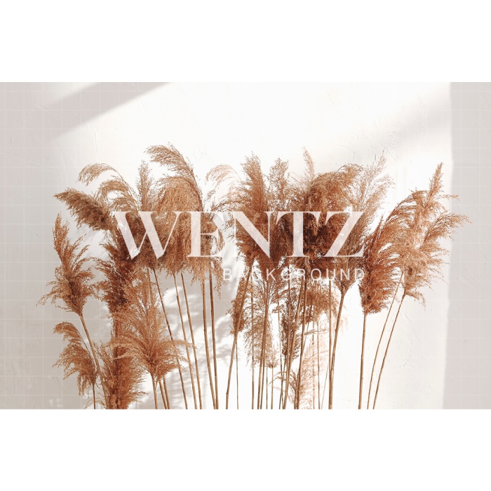 Fabric Photography Background Pampas Grass / Backdrop 2437