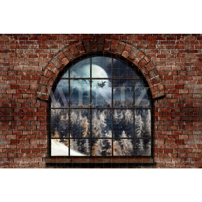 Fabric Photography Background Christmas Window / Backdrop 2498