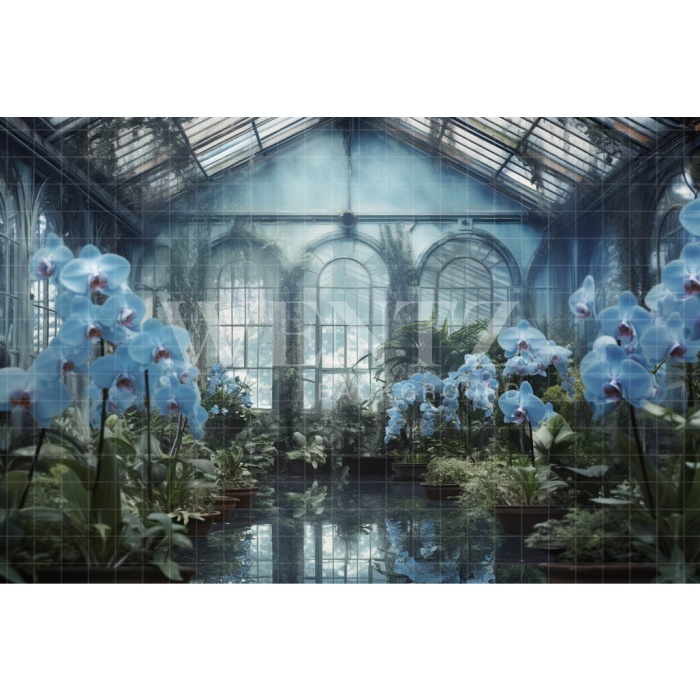 Fabric Photography Background Blue Orchids Greenhouse / Backdrop 3630