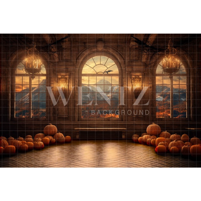 Fabric Photography Background Haunted Castle's Room / Backdrop 3711