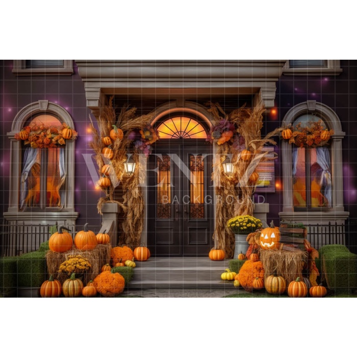 Fabric Photography Background Halloween Facade / Backdrop 3728