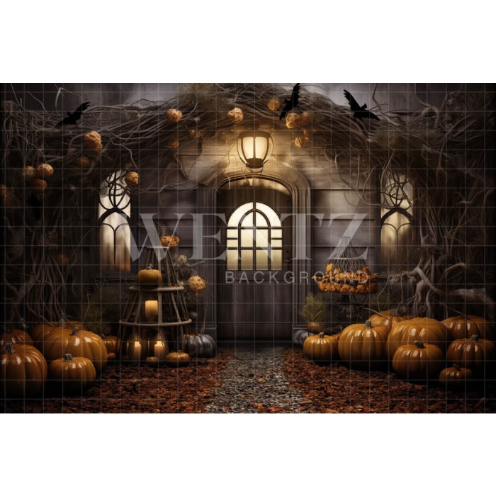 Fabric Photography Background Halloween Facade / Backdrop 3738