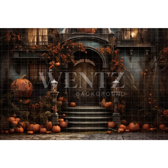 Fabric Photography Background Halloween Set / Backdrop 3741