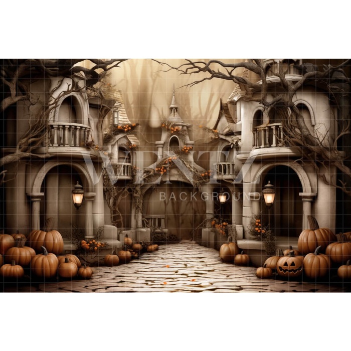 Fabric Photography Background Haunted Village / Backdrop 3746