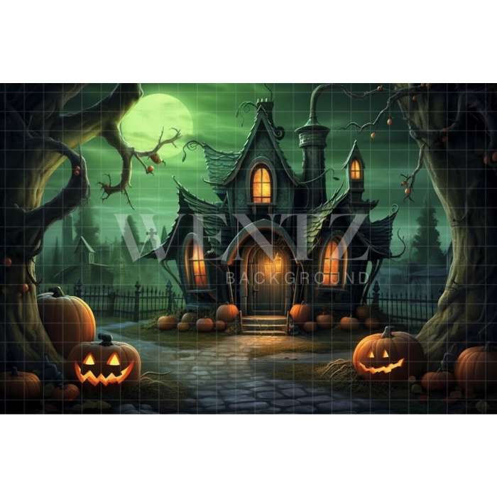 Fabric Photography Background Ghosts Cottage / Backdrop 3764