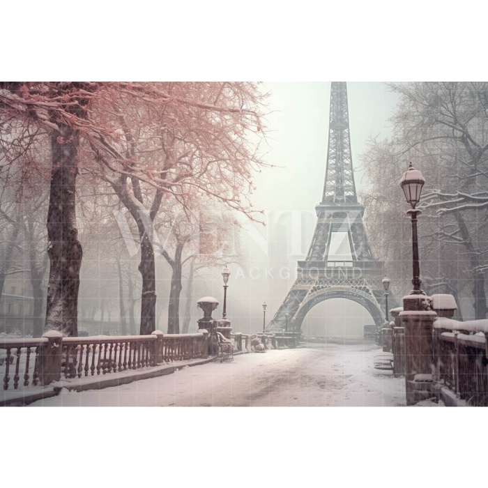 Fabric Photography Background Winter in Paris / Backdrop 4383