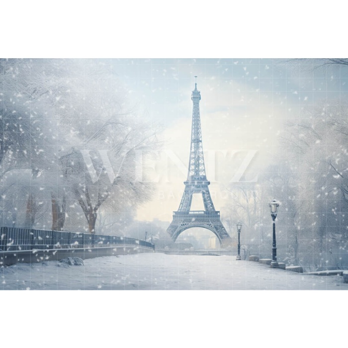 Fabric Photography Background Winter in Paris / Backdrop 4395