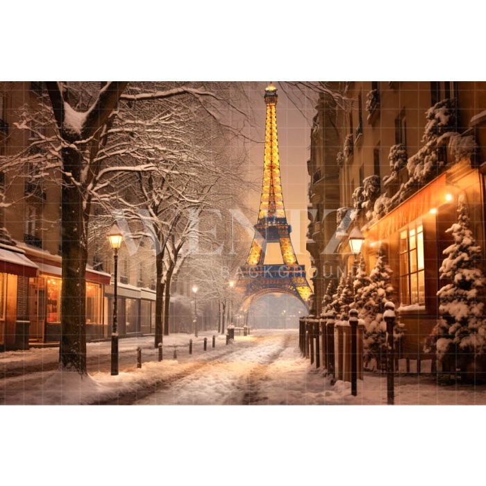 Fabric Photography Background Winter in Paris / Backdrop 4403