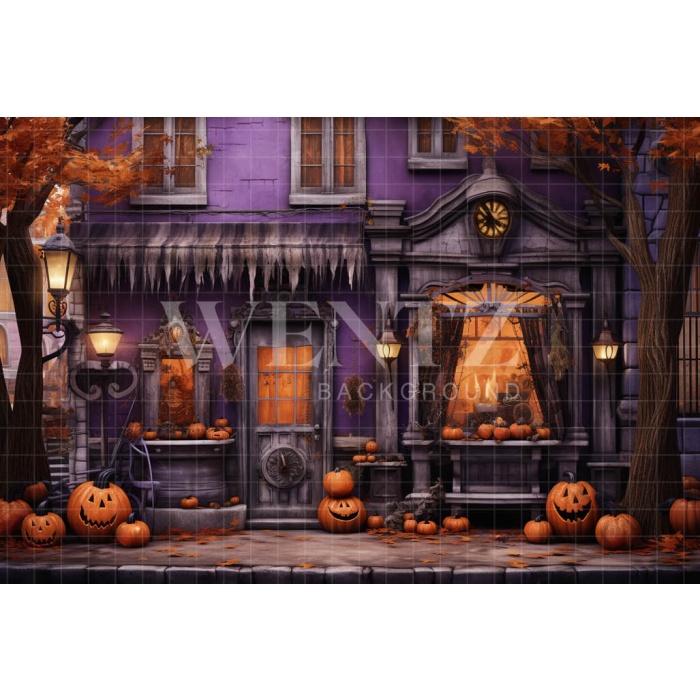 Fabric Photography Background Halloween Facade / Backdrop 4511