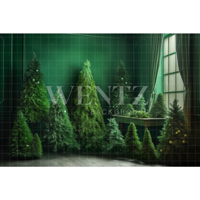 Fabric Photography Background Christmas Green Room / Backdrop 4567