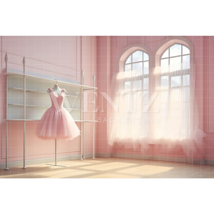 Fabric Photography Background Ballet Studio / Backdrop 4796