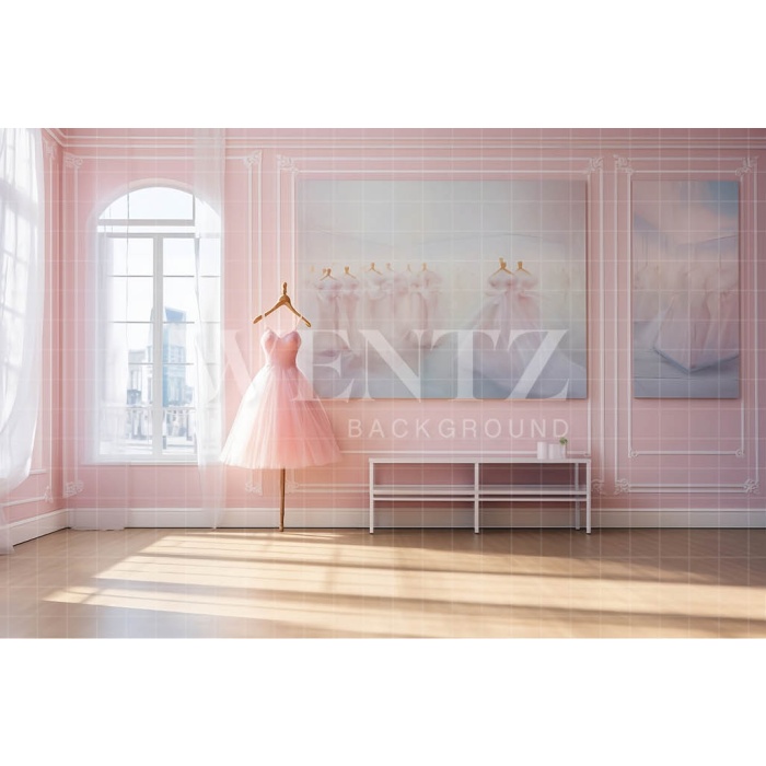 Fabric Photography Background Ballet Studio / Backdrop 4797