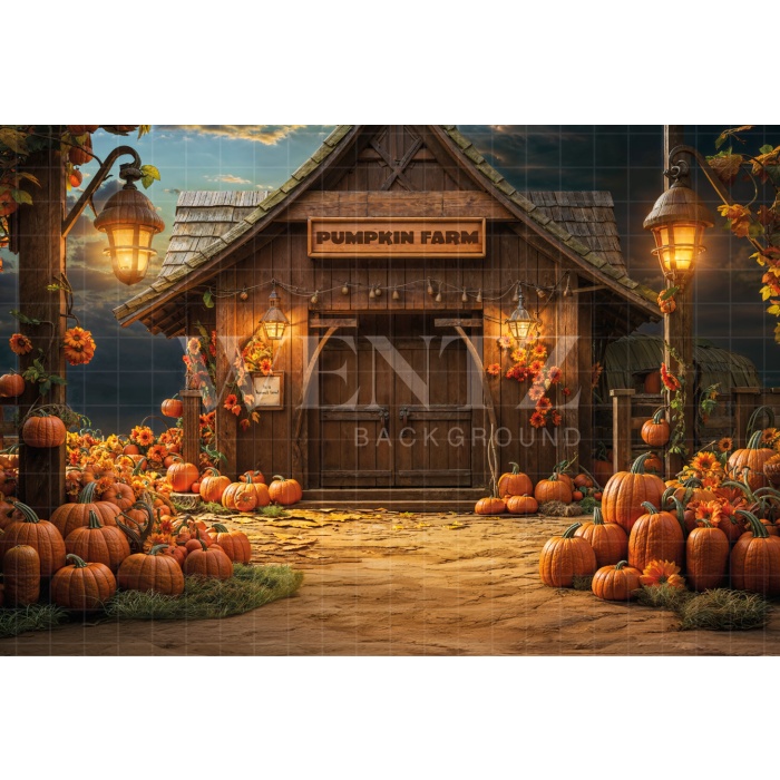 Fabric Photography Background Halloween House / Backdrop 6364