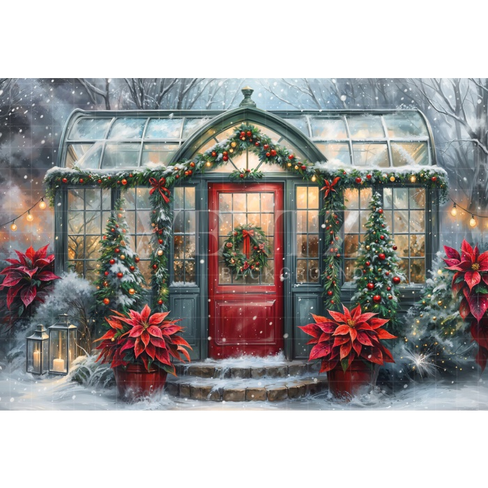 Fabric Photography Background Christmas House Front / Backdrop 6232