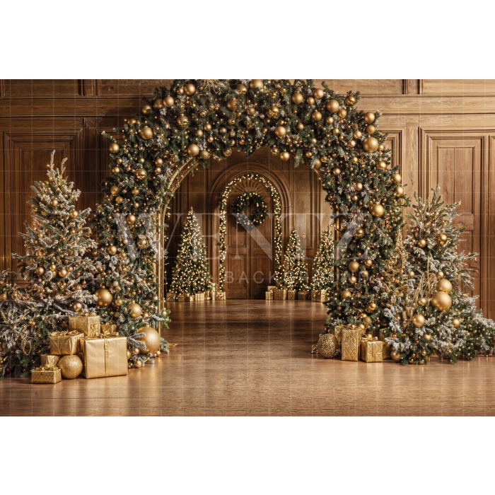 Fabric Photography Background Christmas Door / Backdrop 6479