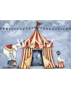 Fabric Photography Background Circus / Backdrop 1587