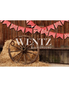 Fabric Photography Background Country Party / Backdrop 1817