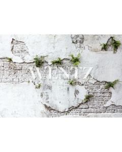 Fabric Photography Background Concrete and Brick Wall  / Backdrop 1927