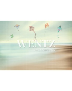 Fabric Photography Background Beach and Kites Newborn / Backdrop 2012