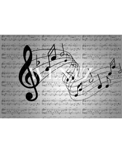 Fabric Photography Background Sheet Music and Notes / Backdrop 2075